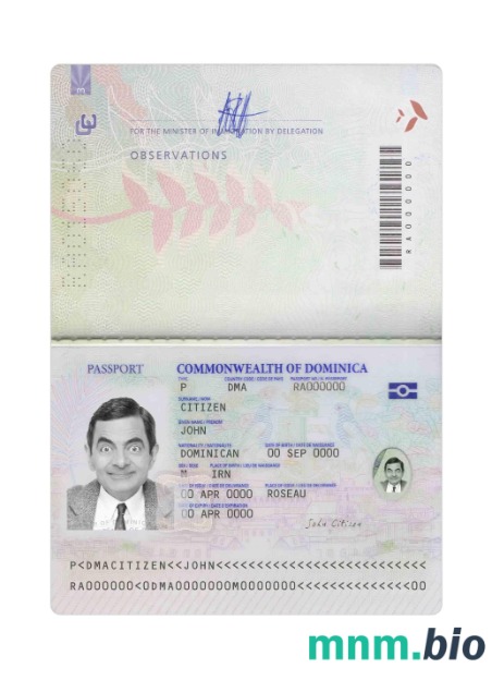 Paszport Dominiki 2021-obecnie, szablon w formacie PSD
